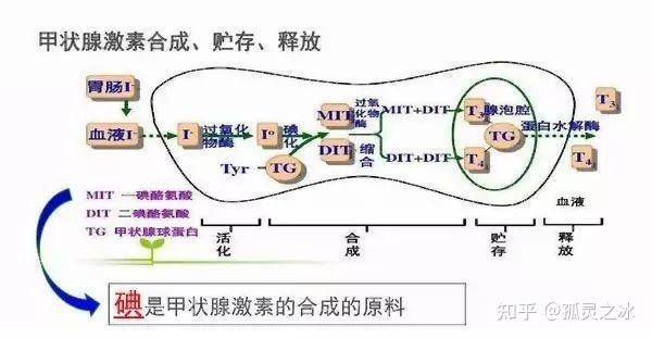 游戏开发 第543页