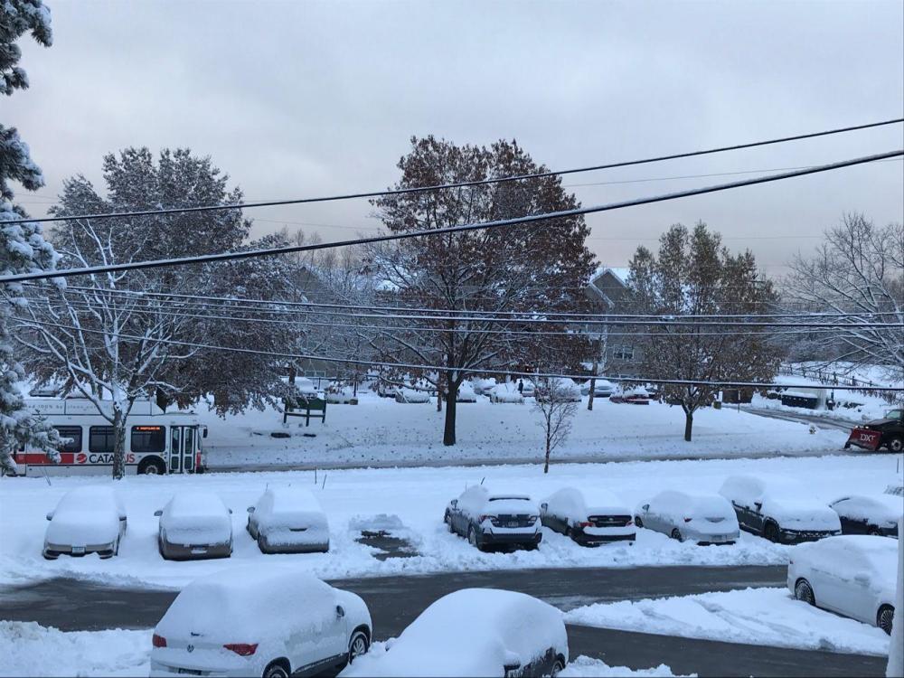 陕西暴雪下的半米深雪，村民家门口的雪景与应对挑战