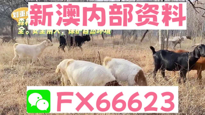 游戏开发 第489页