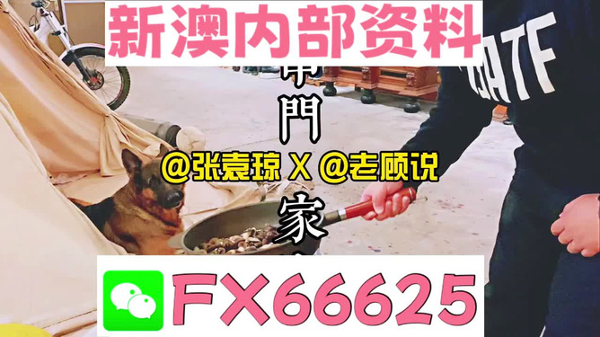 2023管家婆精准资料大全免费