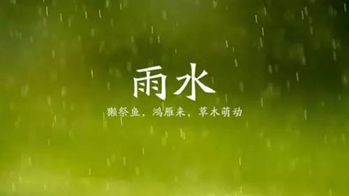 当雨水降临的那一刻，万物竟开始‘疯狂生长’！这背后藏着什么惊人的秘密？