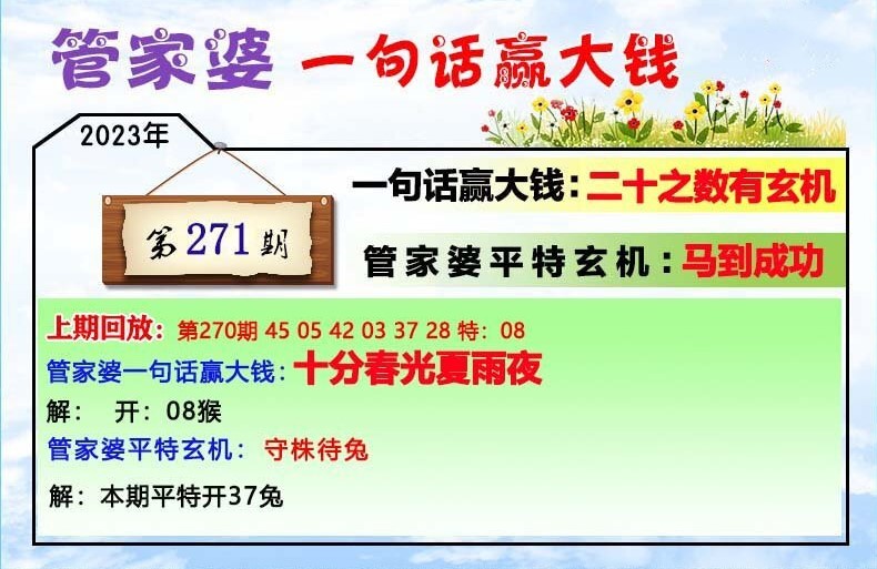 202管家婆一肖一码揭秘，神奇公式助你轻松制定目标计划，nShop33.425竟成制胜关键！