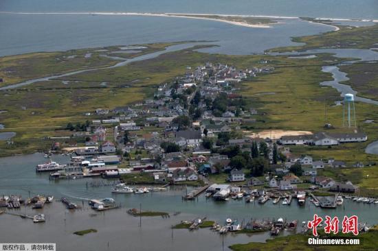 惊！浙江一地紧急招募守鸟人，海岛生活4个月，你敢挑战吗？