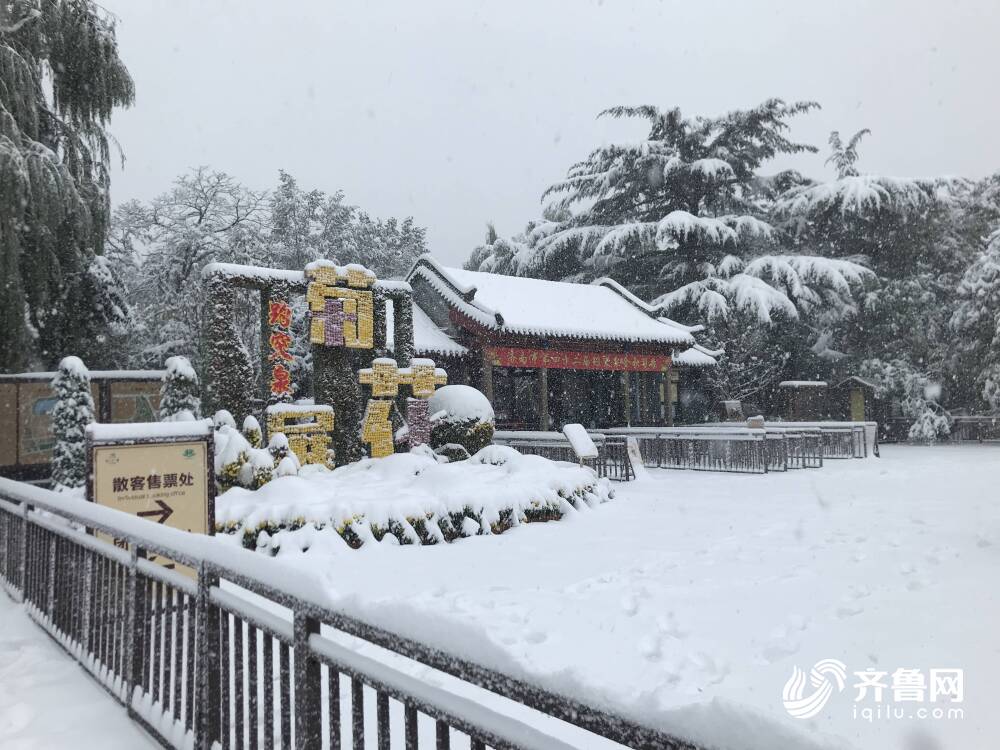 惊！山东多地突降暴雪，积雪竟深达13厘米！市民，多年未见！