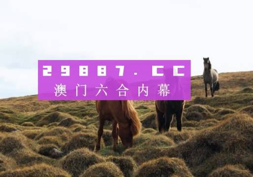 惊心动魄！2025澳门码今晚开奖记录揭晓，Lite85.379背后的成功之路竟如此传奇！