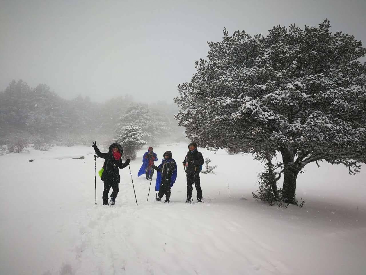 惊艳！丽江古城一夜变雪国，这绝美画面背后竟藏着这样的秘密！