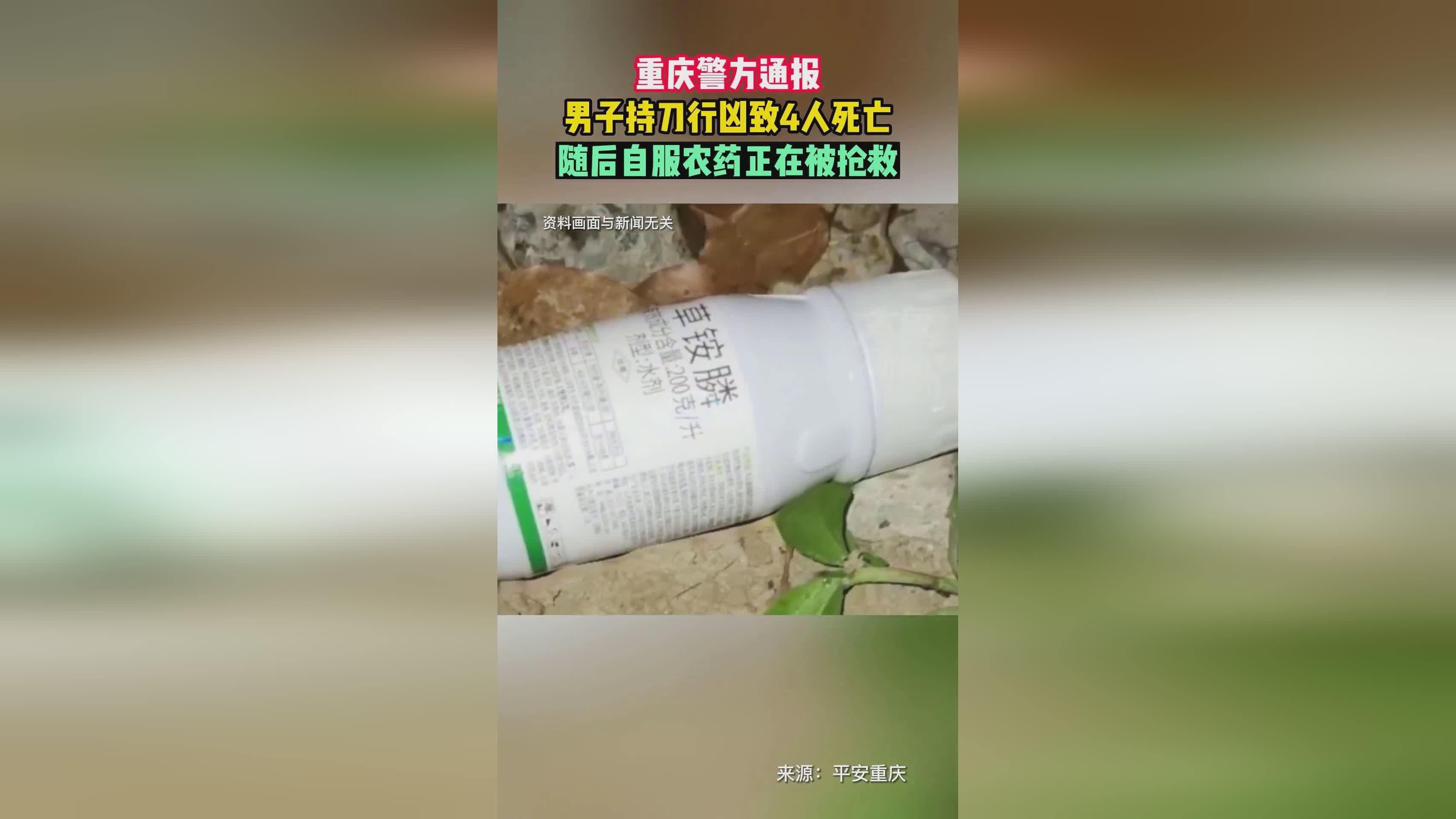 重庆公园观赏鱼大量死亡事件揭秘，男子投放蔬菜杀虫剂引发社会关注，法律责任解析