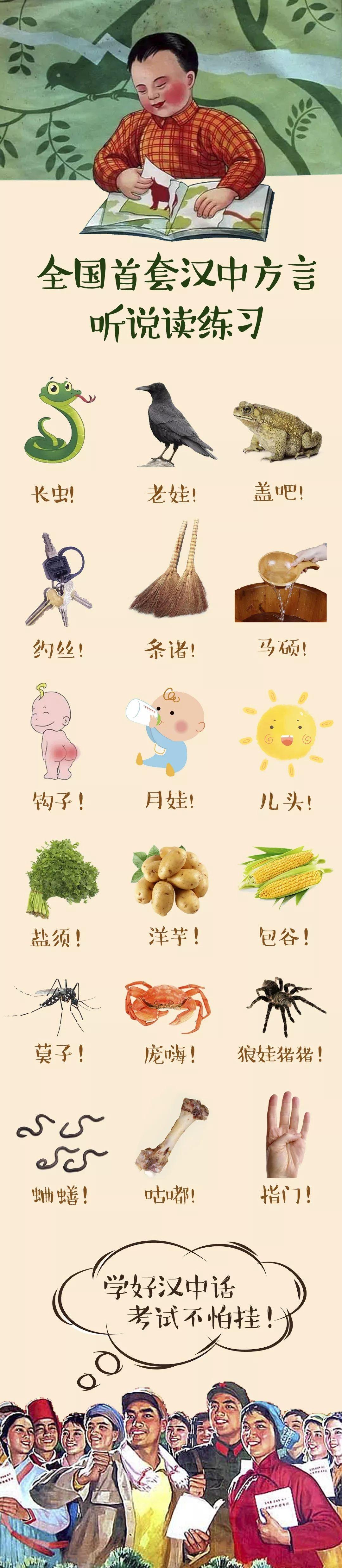 土豆方言大揭秘，我们那里的薯儿传奇