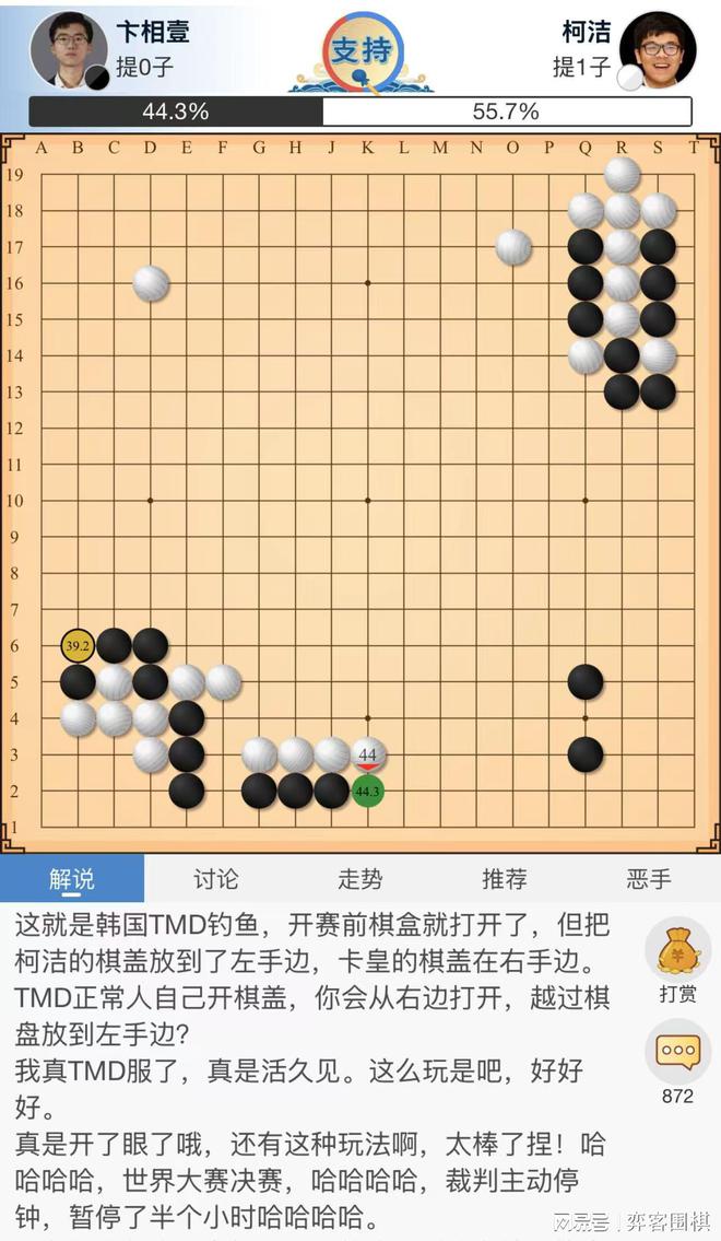 柯洁在LG杯第三盘提子未放回棋盖事件解析，裁判延迟中断比赛的合理性探讨