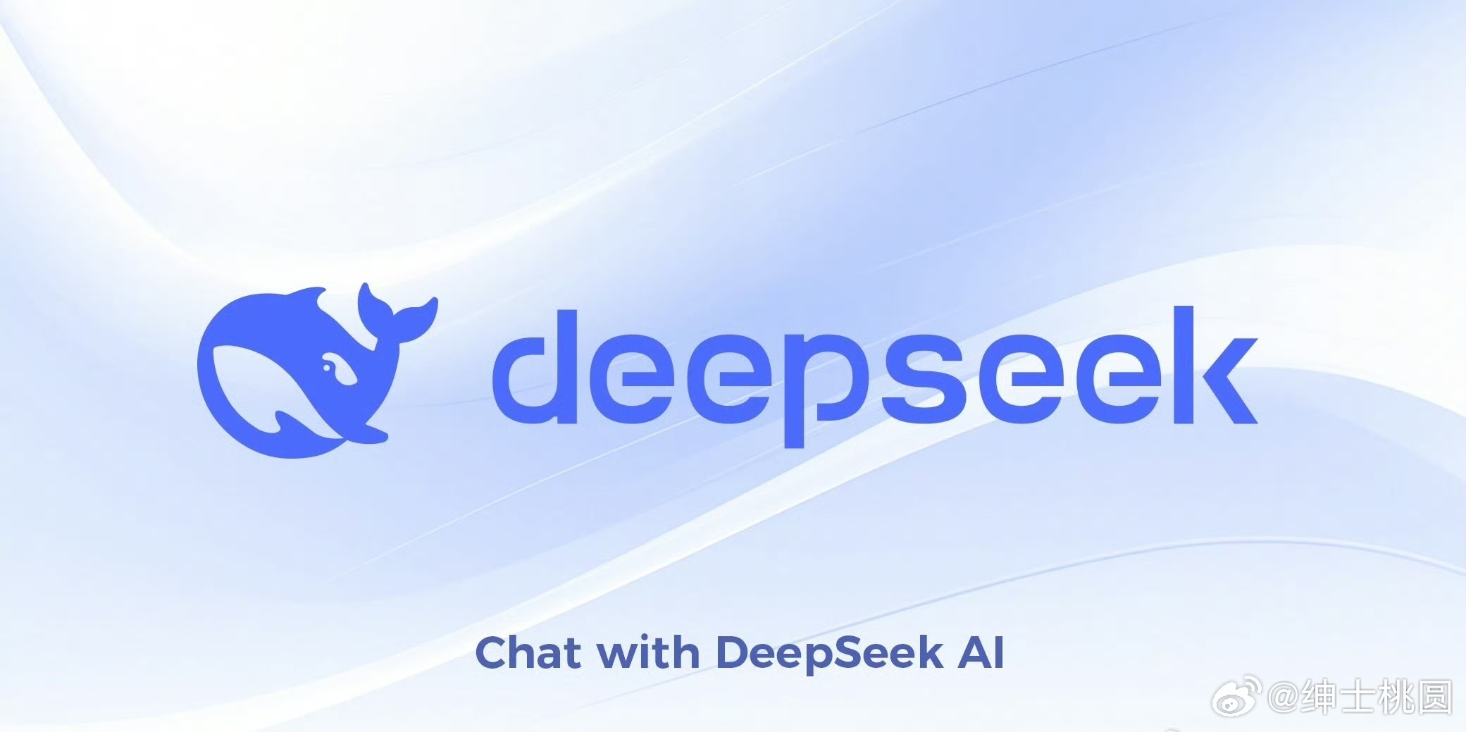 美学者解析DeepSeek技术原理