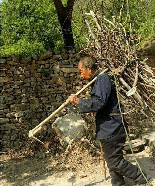 女婿回丈母娘家劈柴翻车记