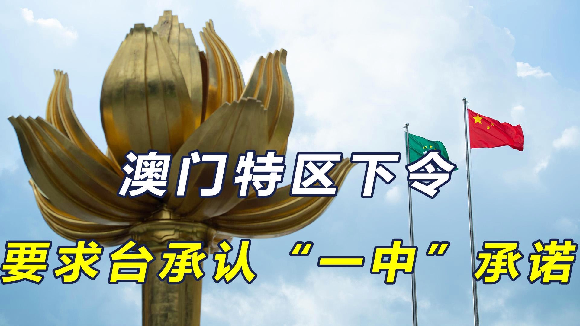 澳门一码一肖一恃一中240期揭示幸运数字的选择原则,澳门一码一肖一恃一中240期_Tablet89.323