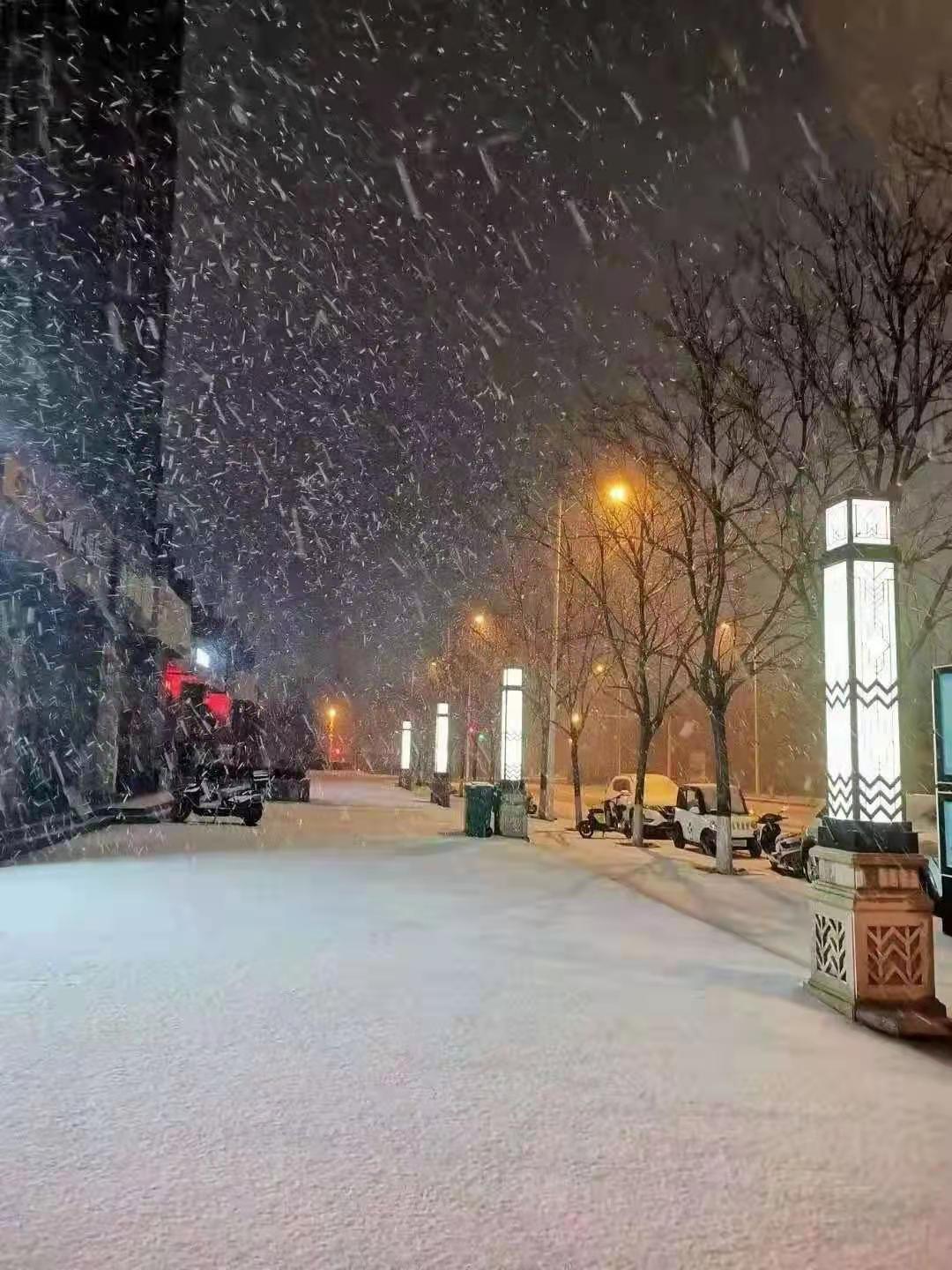 郑州一夜白了头！这场雪藏着什么惊喜与悬念？