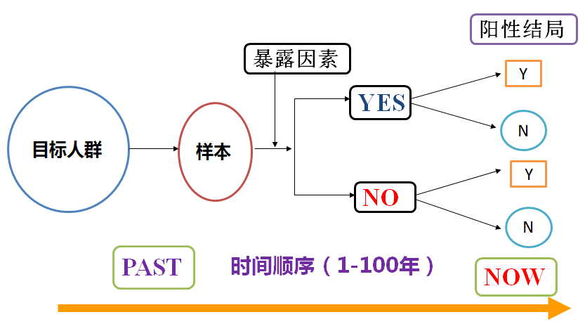 惊爆！2025天天开彩免费资料曝光，95.407冒险款助你新年逆袭，梦想触手可及！